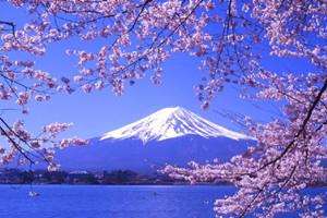 日本留学：日本留学就职签证办理解析