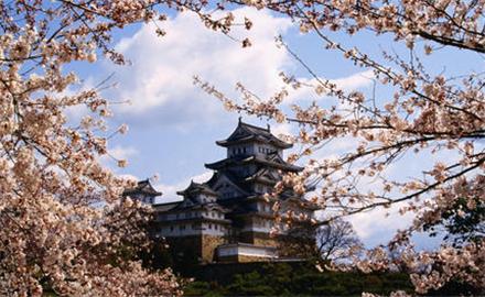 留学日本最受欢迎的地区一览