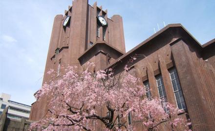 日本留学就读研究生的申请条件