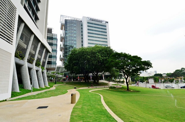 新加坡留学条件与留学费用介绍