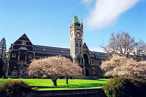 新西兰八大公立大学优势