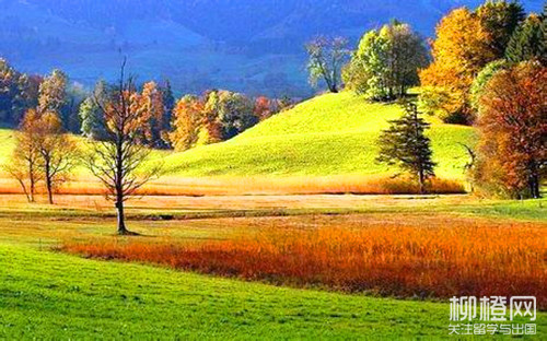 瑞士留学 瑞士学人类医学和牙科医学哪所学校好