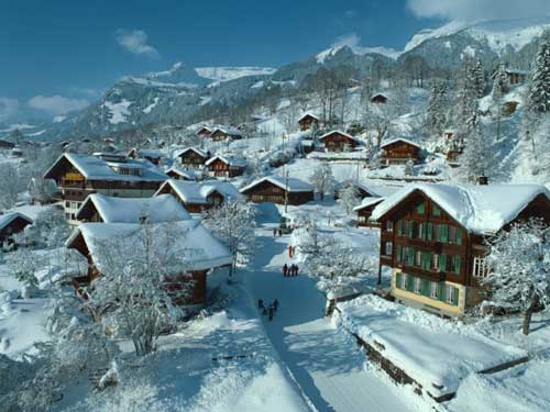 海归就业不扎堆 另辟蹊径也生财