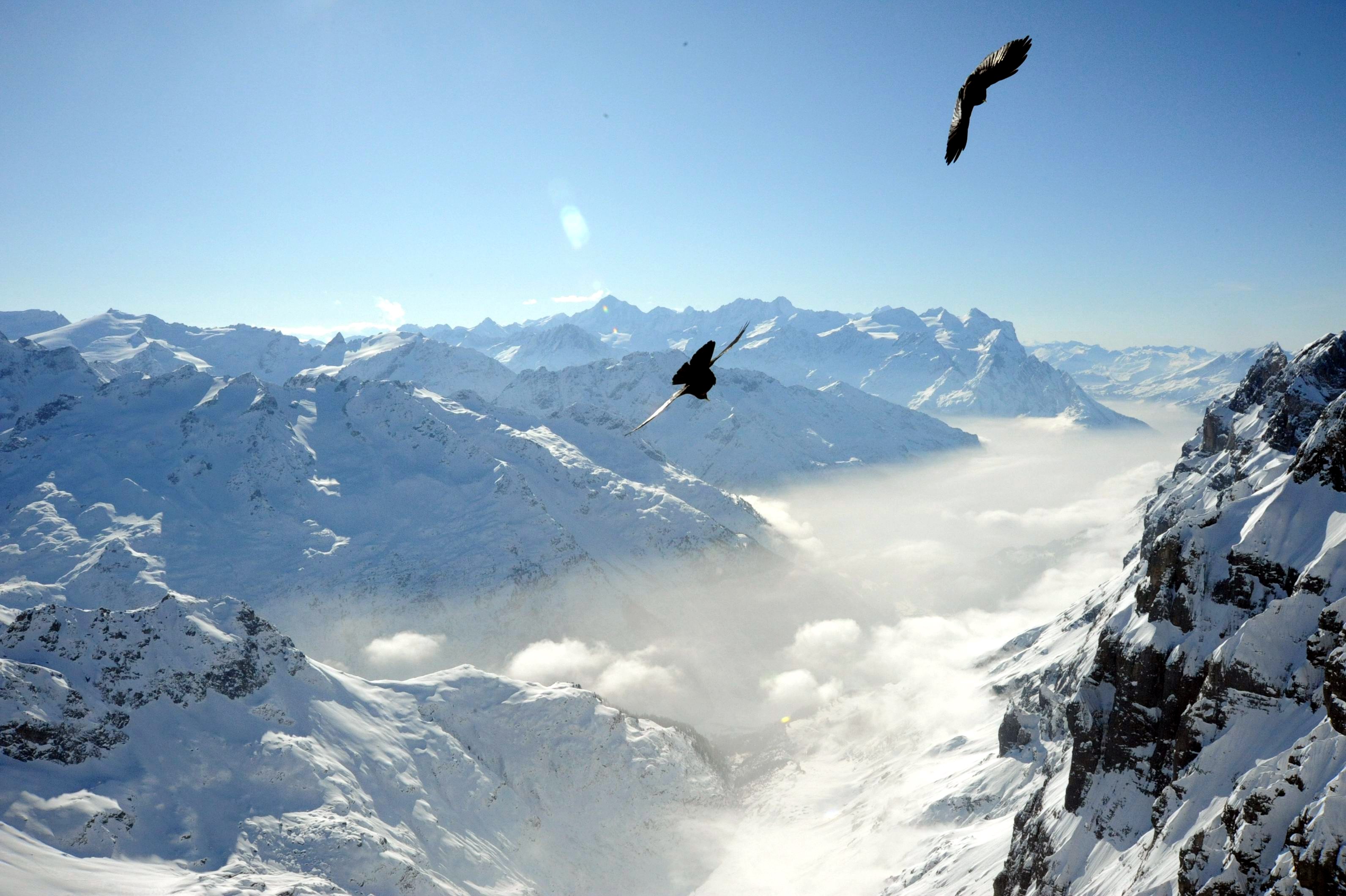 瑞士艺术类毕业生需具备的能力