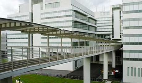留学新加坡理工学院预科入学条件