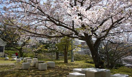 日本留学研究生一年要多少钱？