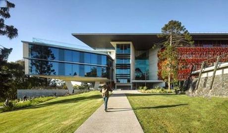 昆士兰大学2015年或将降低录取分数线