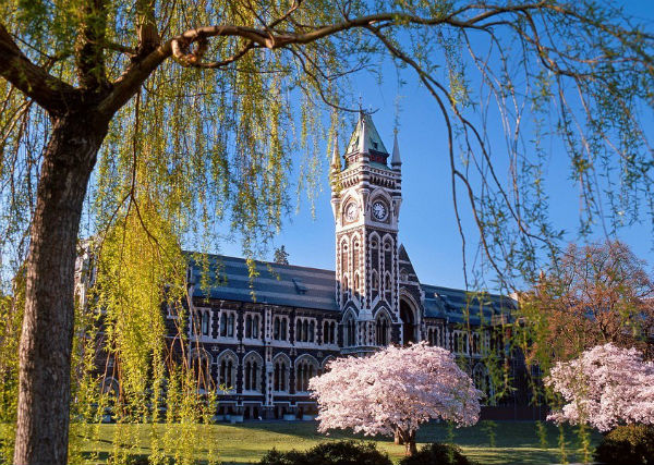 出国留学去新西兰：新西兰名校优势盘点