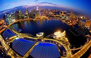 2016新加坡留学的热门专业