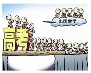 你的高考分数可以国内or国外哪个等级的大学