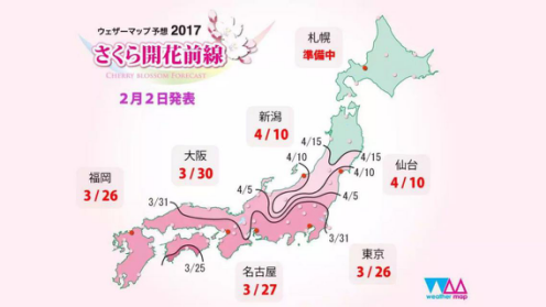 日本留学—赏花季